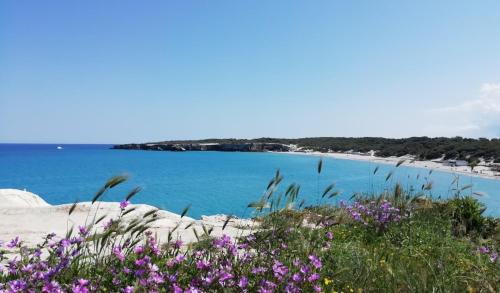 Villa Elia - Tenuta Le Scerze - Salento Homes