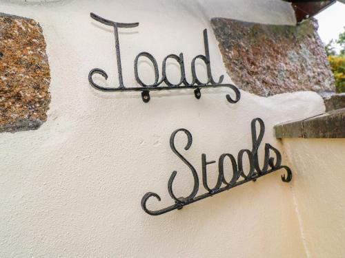 Toadstools, Penryn, Cornwall