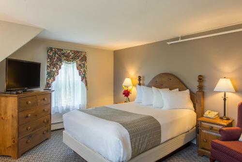 Mountain View Room with One Queen Bed