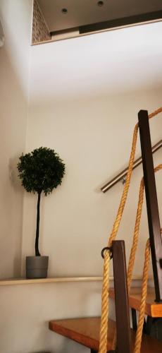 Strigonia Apartman