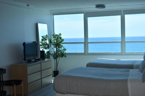 Castle Beach Studio with Ocean View - image 12