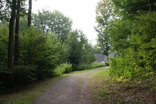 Bungalow; Haus 111 Ferienpark Twistesee, Bad Arolsen