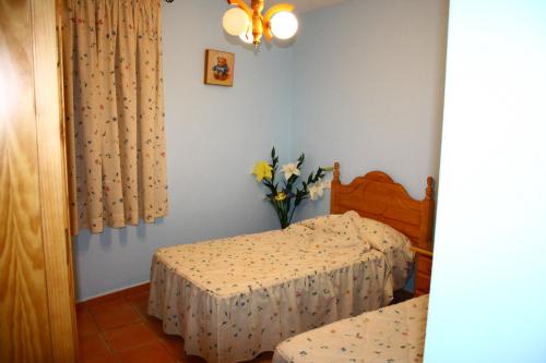 Los Olivos - image 12