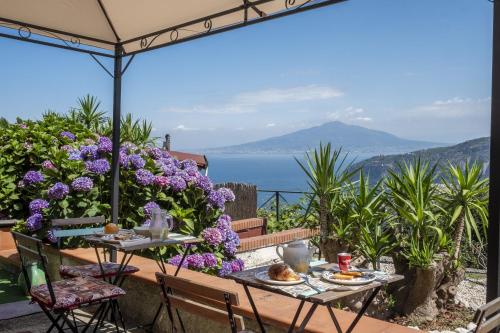 Villa Monica B&B – Sorrento, CO