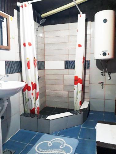 浴室, Old Guest House 1964 in 扎布利亞克