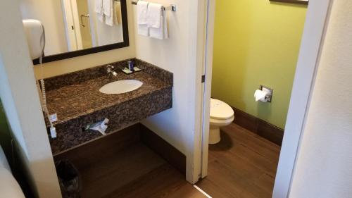 Wingate by Wyndham Macon West I-475 - 화장실
