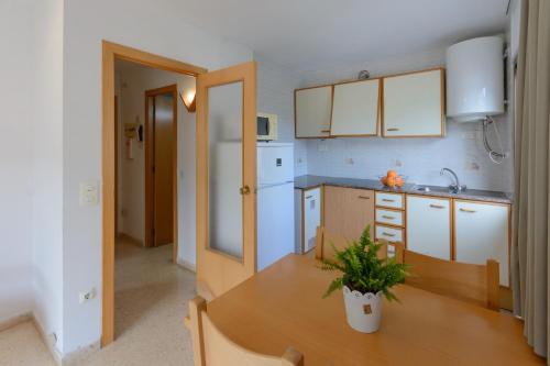Sant Jordi Zeus Basic - image 10