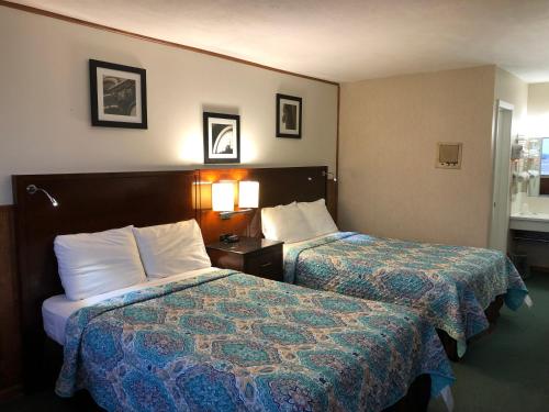 Viking Motel - main image