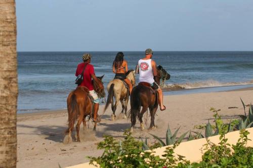 Fort Walker (Beachfront House)