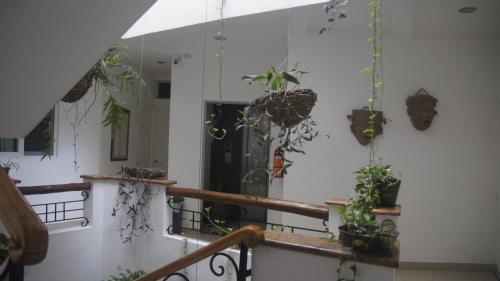 Casa del Parque Vallarta in Puerto Vallarta, Mexico