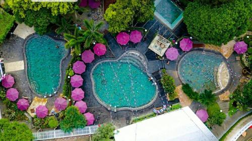 Gracia Spa Resort Hotel