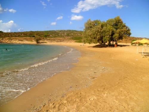  Apartment with Pool and Gym in Kounoupidiana