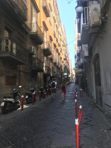 B&B Cosmoneapolitan - image 7