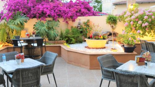 حديقة, Hostal Nadal in صلر