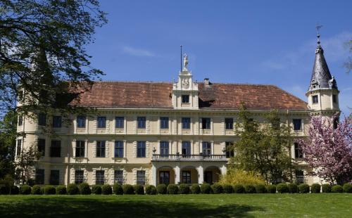 Schloss Puchberg - image 10
