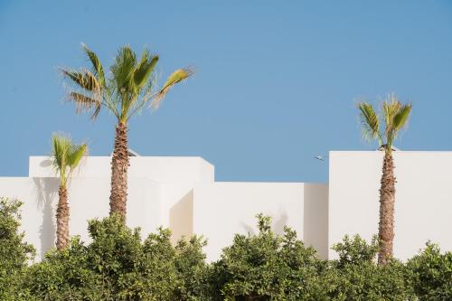 Can Jaume Hotel Rural & Villas 3