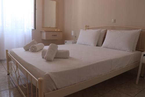  Casa di Nona- the house of hospitality in Pigadhákia