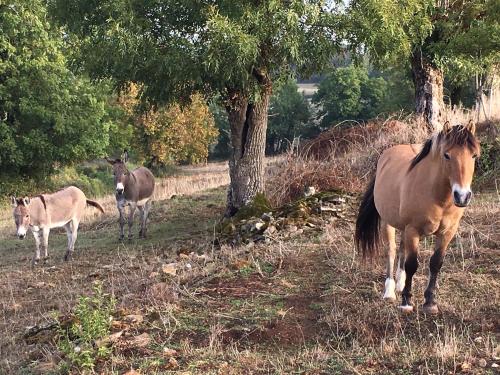 Gîtes Les Demeures de Valette