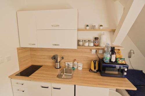 APARTHOTEL VÍTKOVICE (APARTHOTEL VITKOVICE) in วิตโควิเช