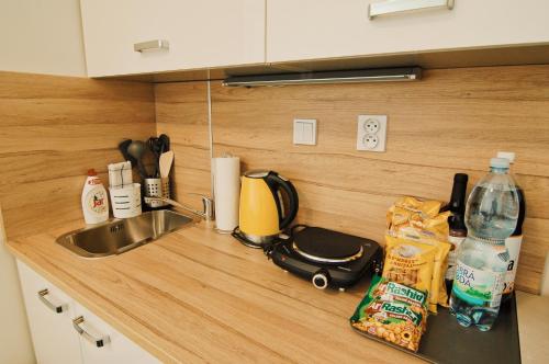 APARTHOTEL VÍTKOVICE (APARTHOTEL VITKOVICE) in วิตโควิเช