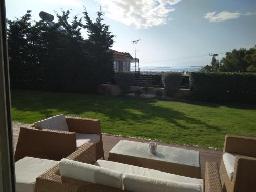  DREAMVIEW in Artemida