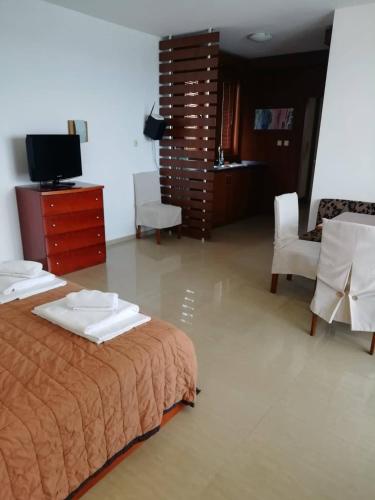 Apartment Slantse - image 3