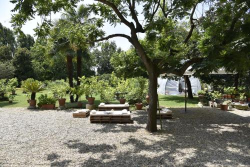 Ēdiens un dzērieni, Bed and Breakfast Locanda Lugagnano in Cassinetta Di Lugagnano