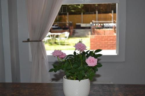 My Place Hotel - image 8