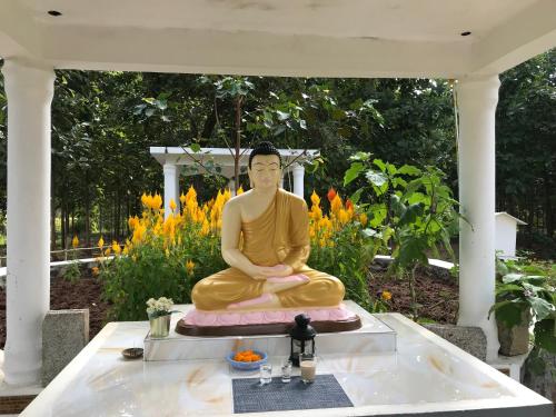 Peacock Resort – Anuradhapura, IA