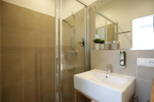 Superior Apartment image 9