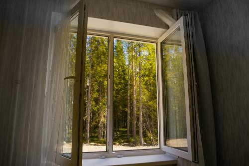 Apartment Forest House - image 2