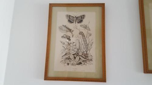 Au Jeu de Paume - image 6