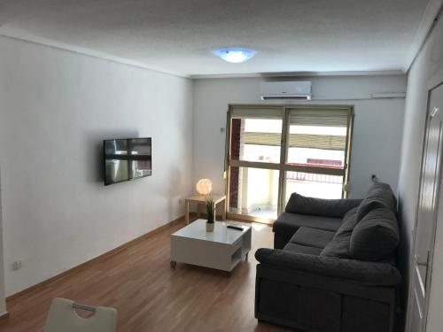  Homely apartments El Paseo in Torrevieja