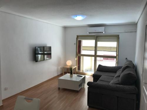  Homely apartments El Paseo in Torrevieja