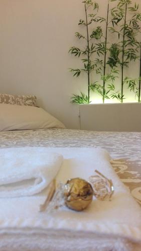 B&B del Corso - image 8