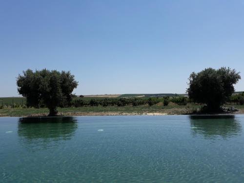 Terras - Agroturismo & Vinhos, Beja (Foto 8)