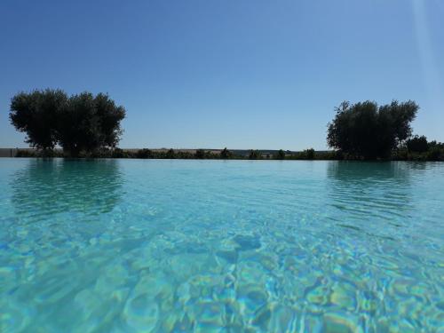 Terras - Agroturismo & Vinhos, Beja (Foto 2)