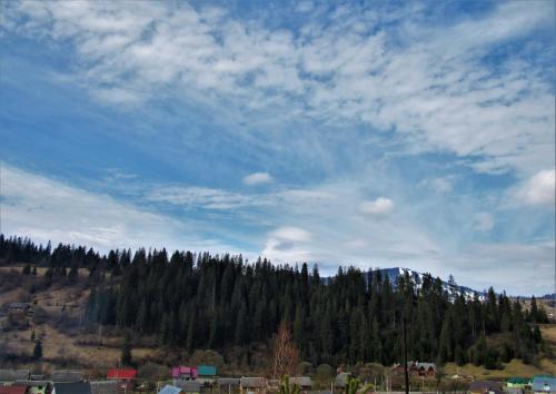 Відпочинок у Пронів, Slavske (fotografie 4)
