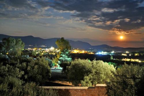 Villa in the Olive Trees