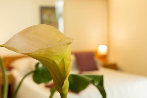 Best Western Hotel Dei Cavalieri