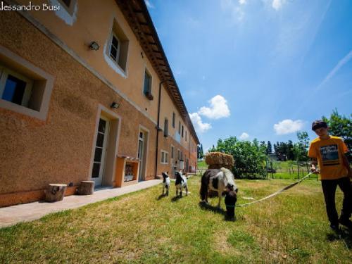 Agriturismo La Valle della Lavanda - Podere Mezzastrada