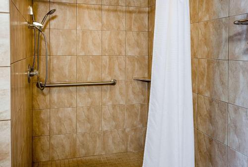 Rodeway Inn Panama City - image 10