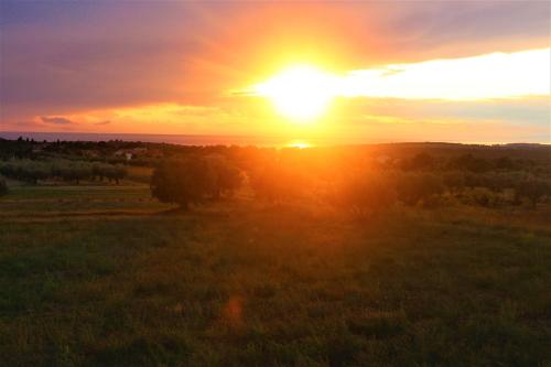  Horizont Apartman, Unterkunft in Kukci