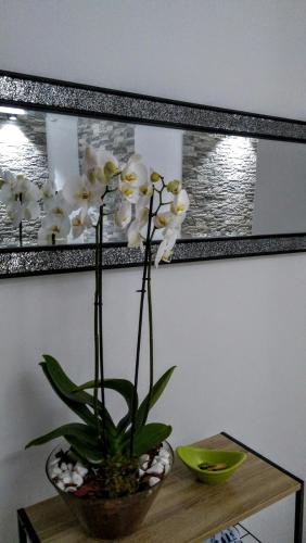  Lovely Paralia Apartment no.3 in Paralia