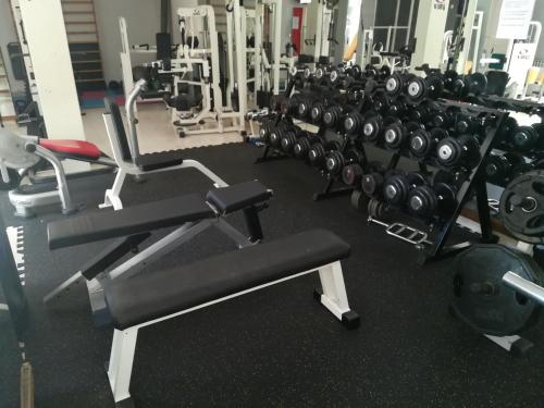 FLAMINGOS Apartman & Fitness OSIJEK - image 10