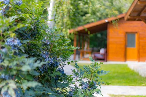 Friends Bungalows - image 13