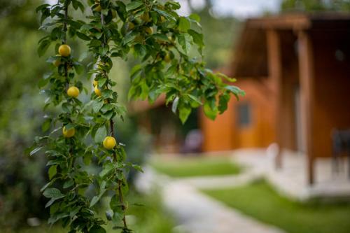 Friends Bungalows - image 6