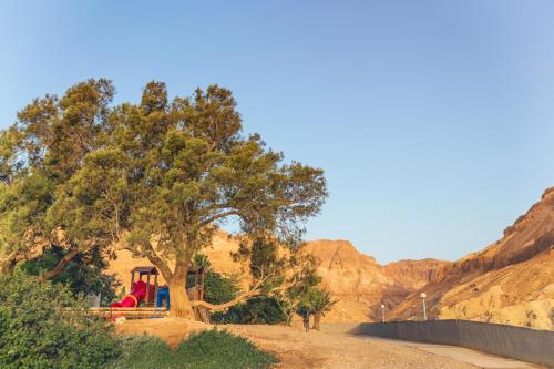 Ein Gedi Kibbutz Hotel