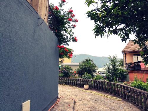 Risan sea apartment - main image