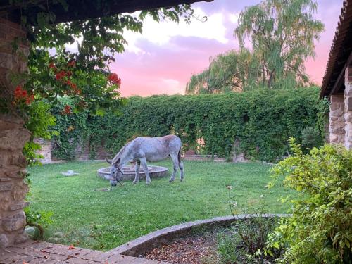 Agriturismo Giardino Donna Lavia - Polizzi Generosa - Parco delle Madonie - Ristorante